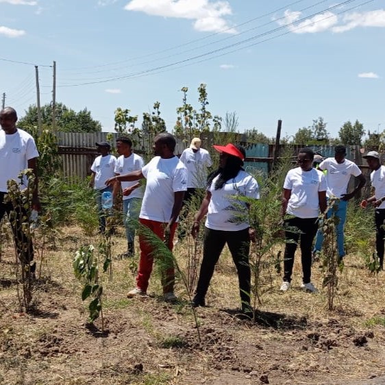 Climate resilience project