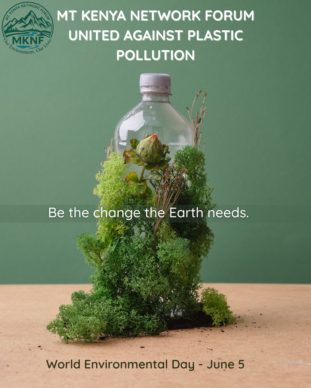 World Environment Day 2025 and plastic pollution action